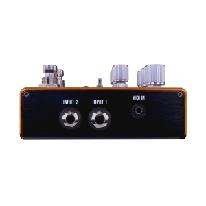 02 Pathways Inputs Transparent